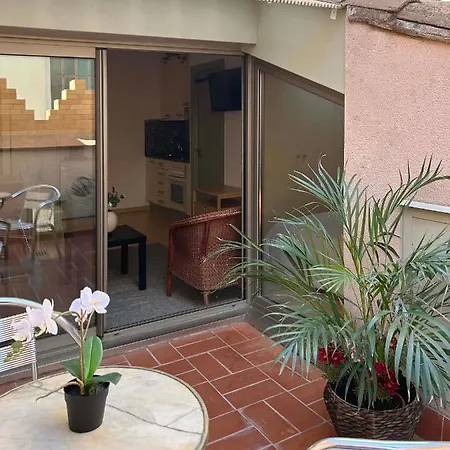 Sf Céntrico Con Terraza